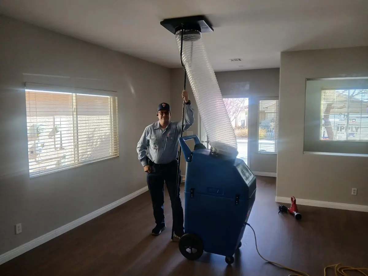 Professional Emergency HVAC Repair work inside a Pendleton home